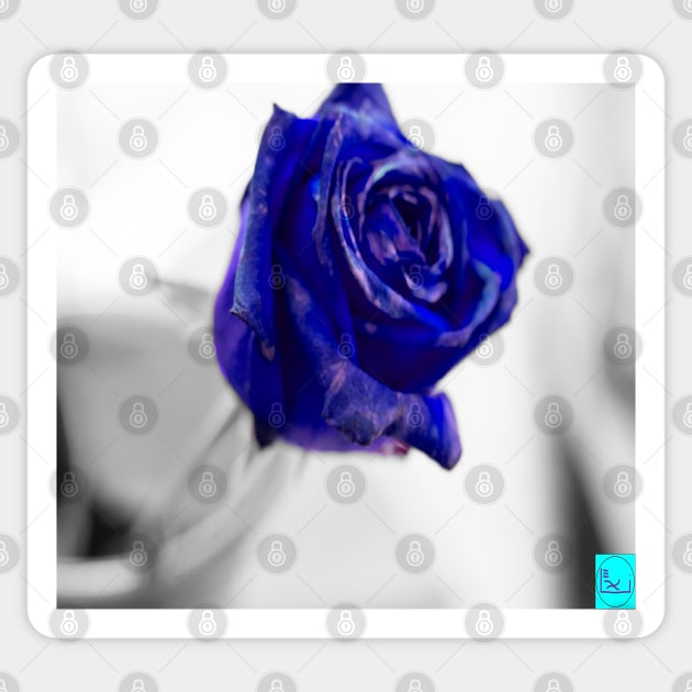 blue rose Sticker by callalexi